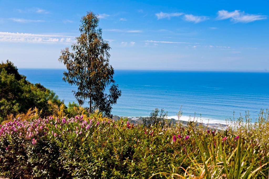 Beacon Point Ocean View Villas Skenes Creek Экстерьер фото